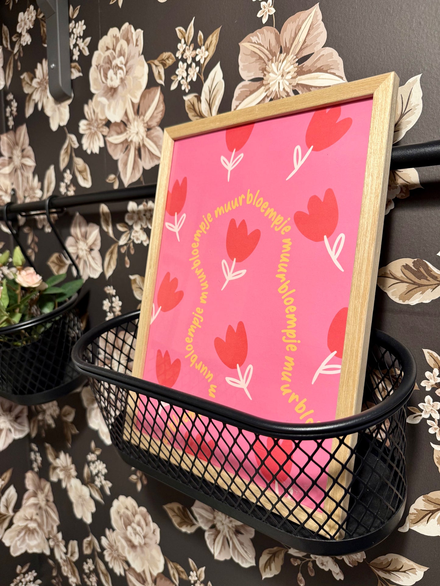 Muurbloempje voor aan de muur